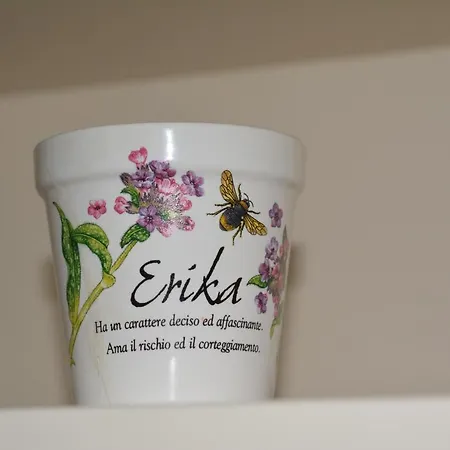 Bed & Breakfast A Casa Di Erika Cava De' Tirreni
